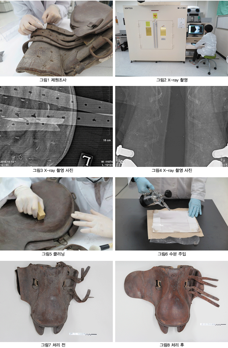 보존처리 과정 보존처리 과정