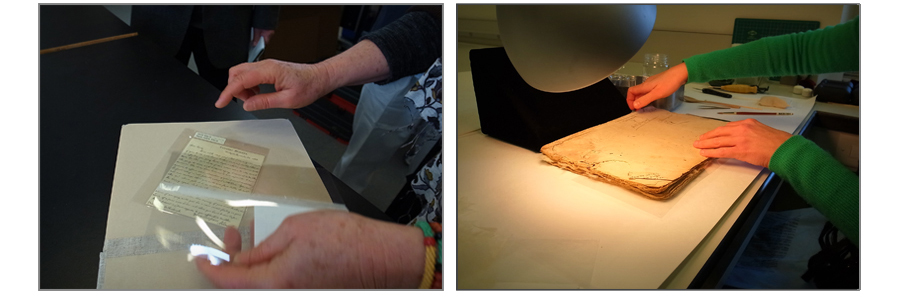 [양지] 2013년 미국