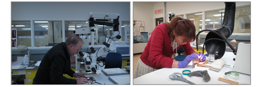 [사진, 유리건판] 2017년 캐나다