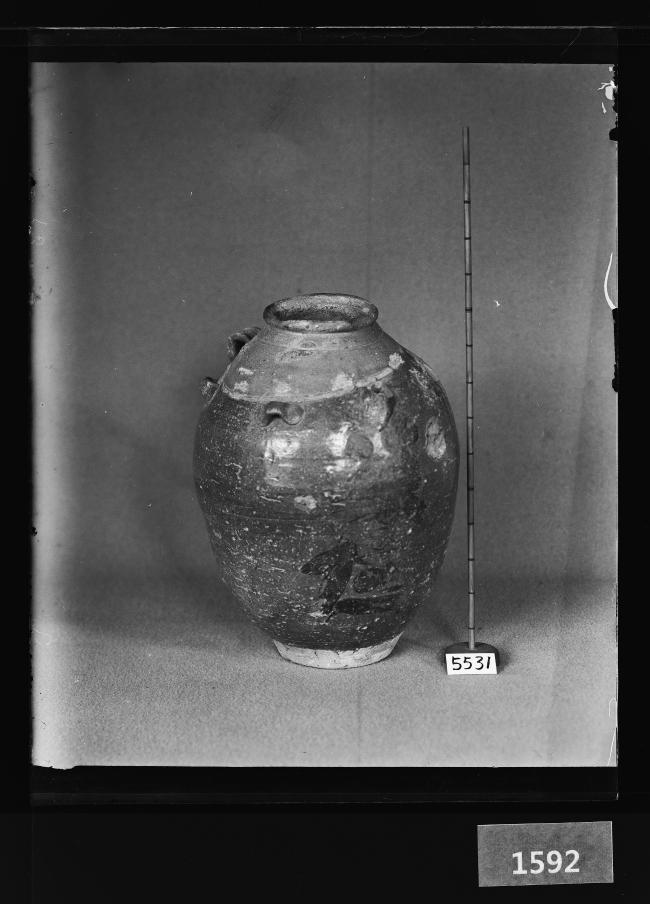 흑유사이호 유리건판