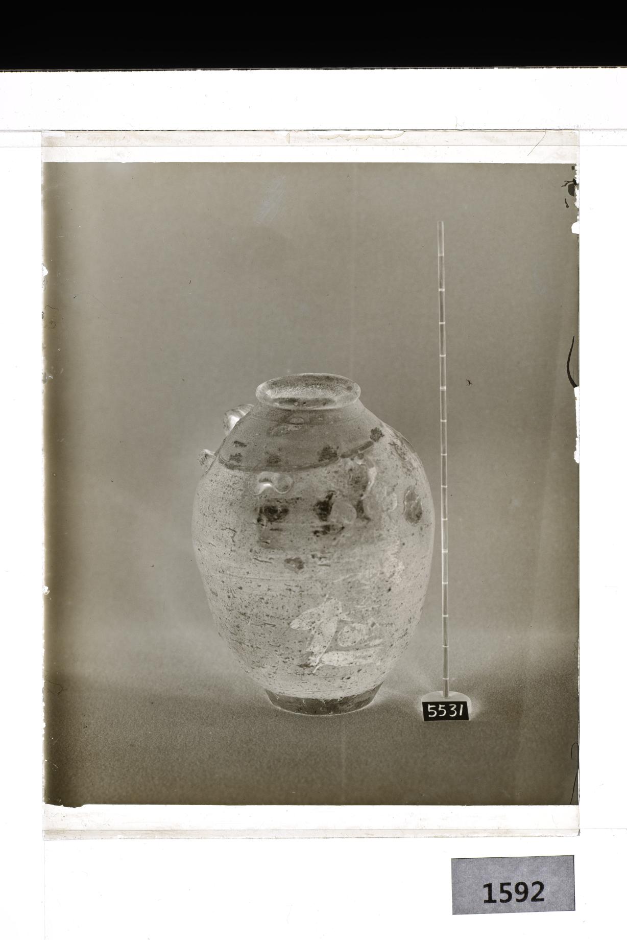 흑유사이호 유리건판