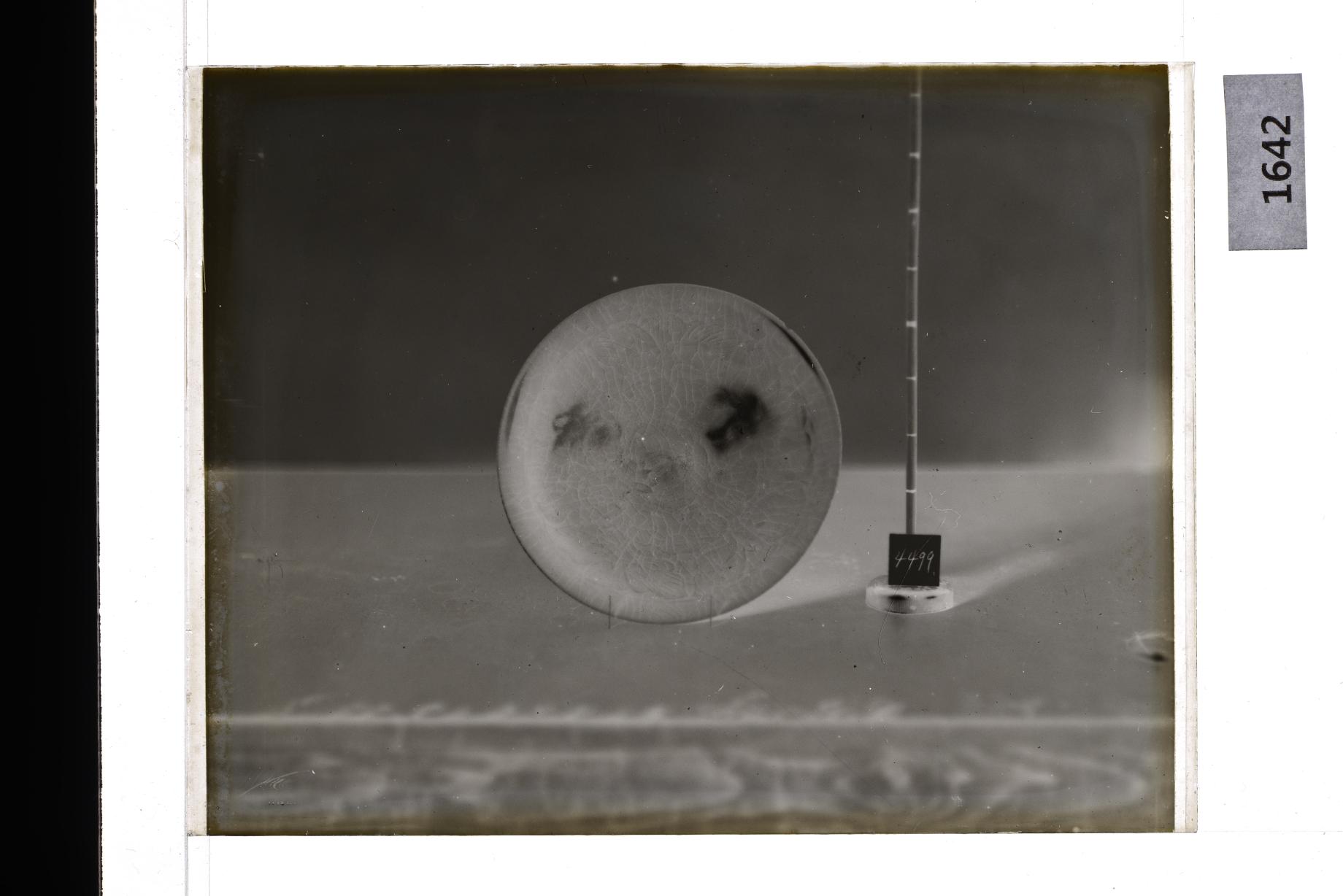 청자압출양각모란문발 유리건판