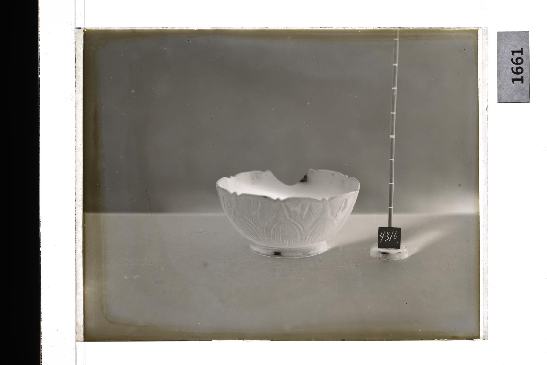 청자음각죽순문승반 유리건판