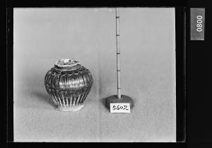 흑유호 유리건판