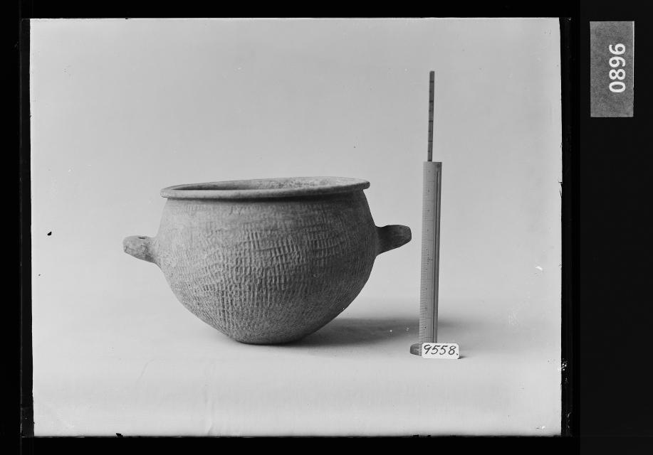 토기양이부호 유리건판