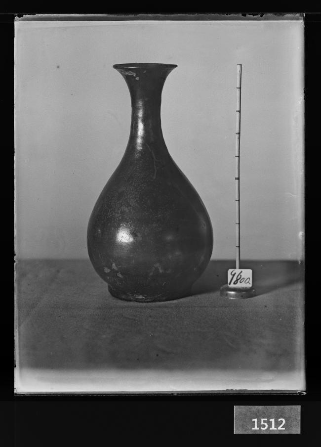 흑유병 유리건판