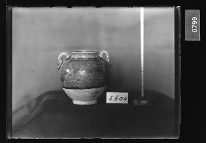 흑유양이호 유리건판