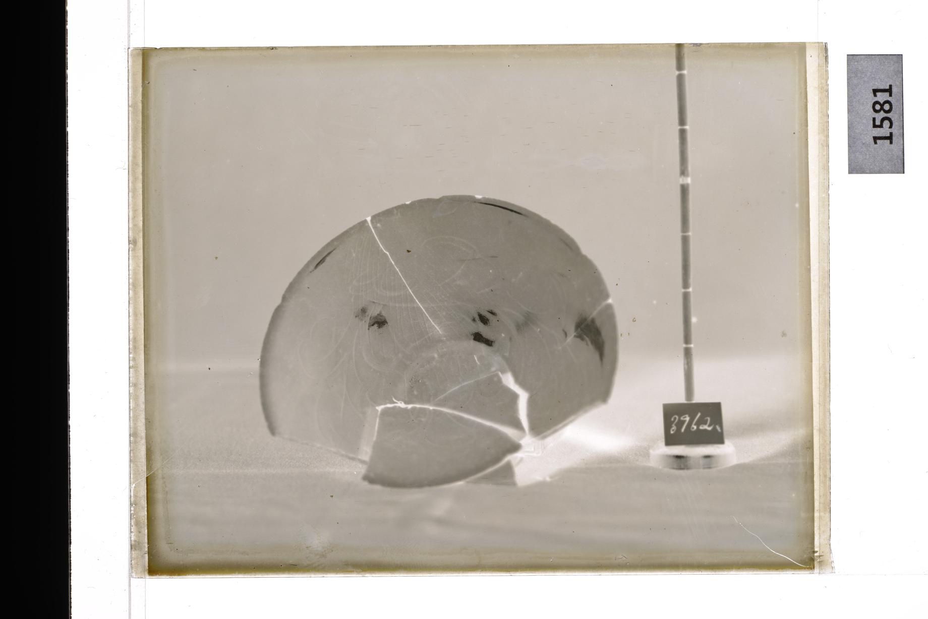 백자음각엽문화형발 유리건판