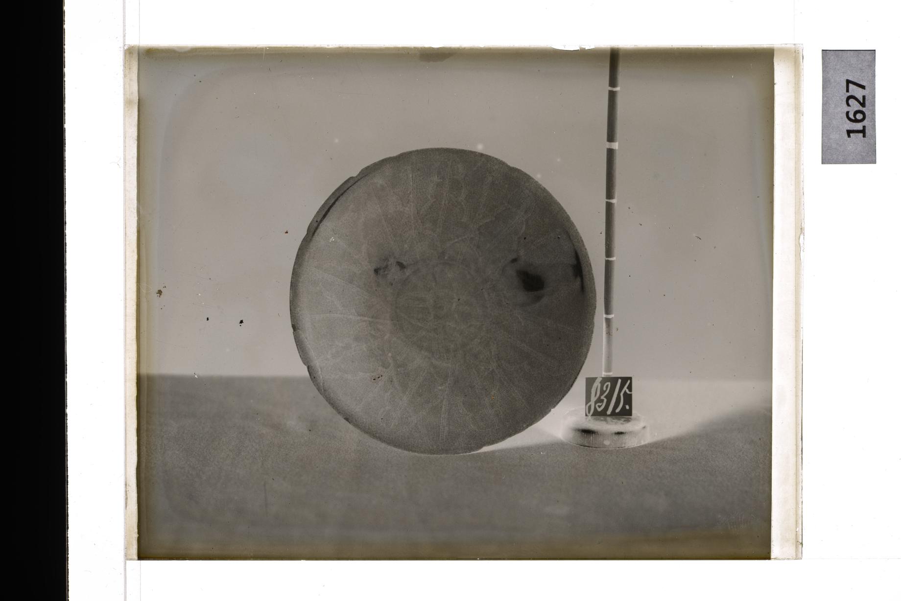 백자음각화판문화형발 유리건판