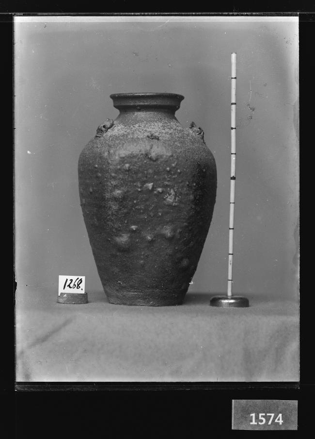 도기호 유리건판