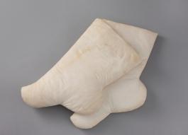 궁중70_영친왕 백말.jpg