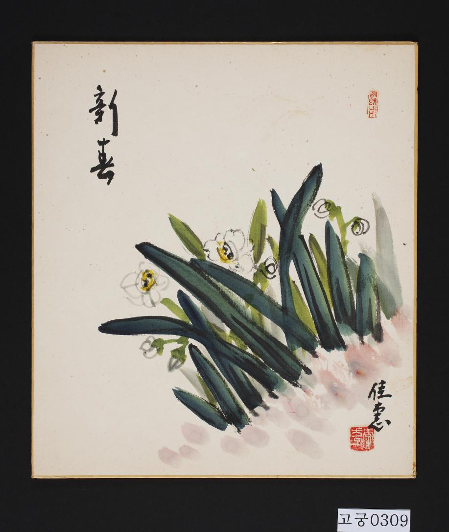 수묵채색수선화그림