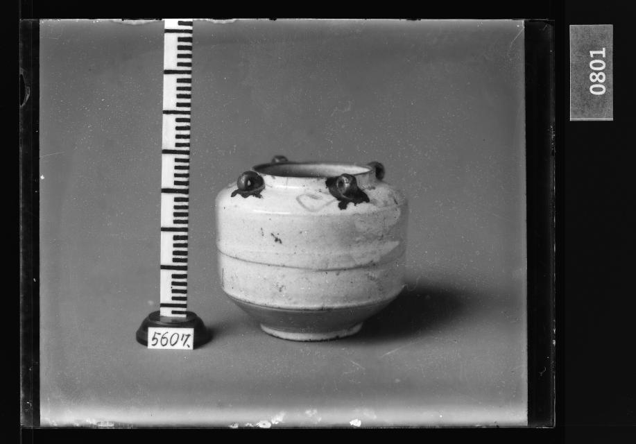 백자철채사이호 유리건판