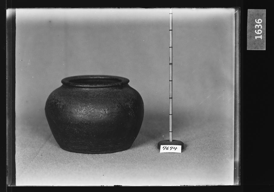 흑유호 유리건판