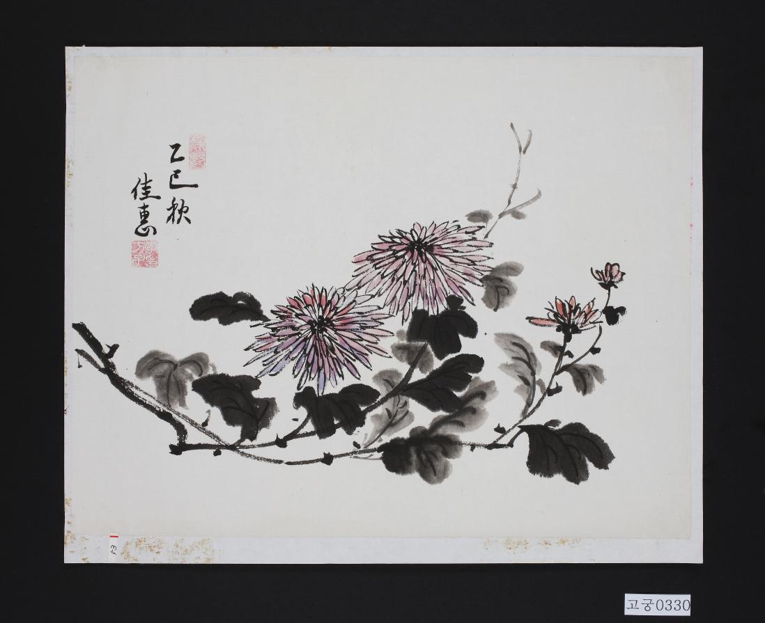 수묵담채국화그림