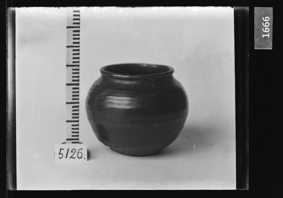 흑유호 유리건판