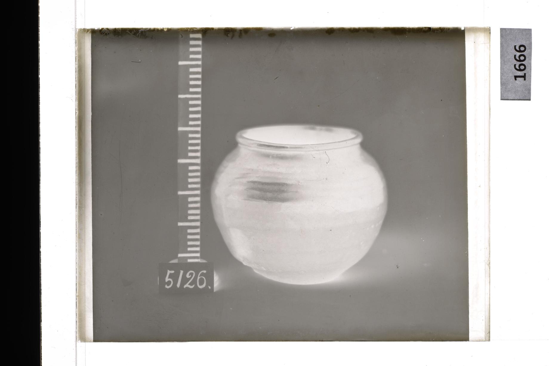 흑유호 유리건판