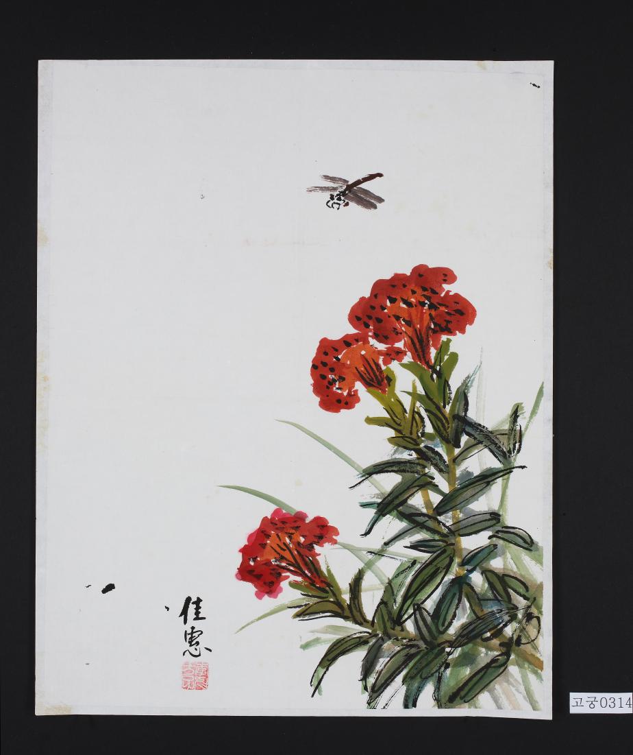 수묵채색맨드라미그림