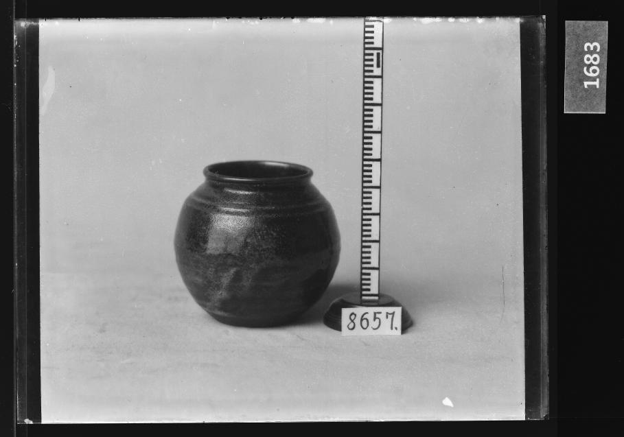 흑유호 유리건판