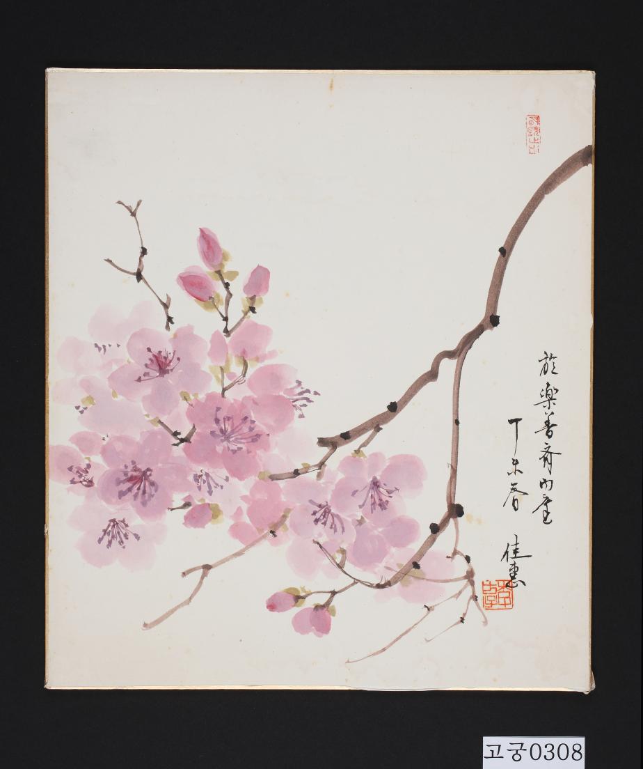 채색진달래그림