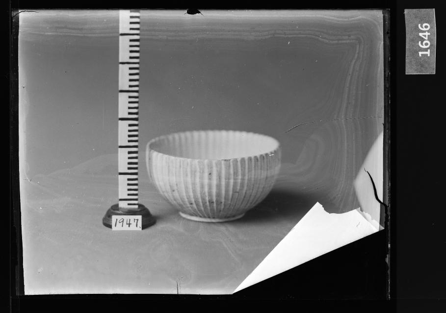 백자화형발 유리건판