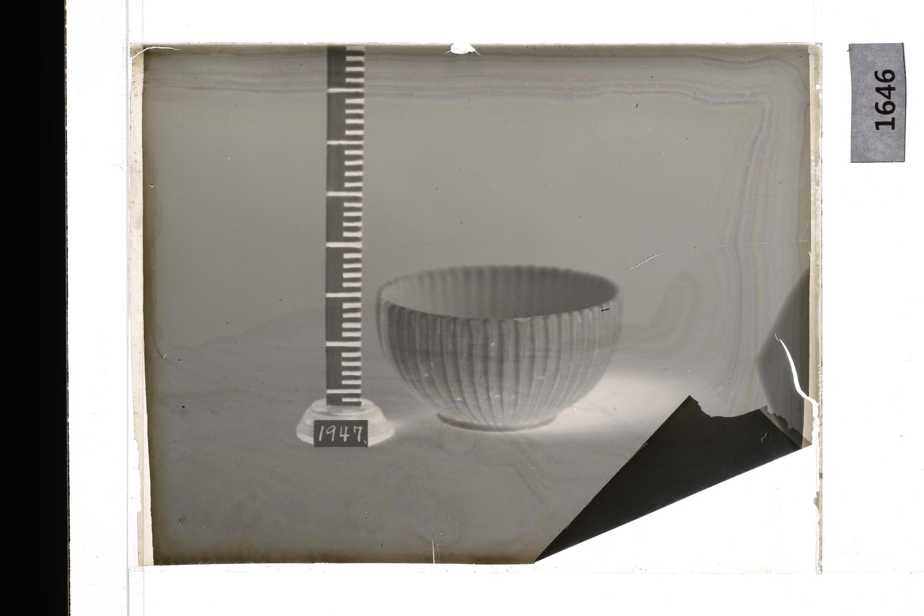 백자화형발 유리건판