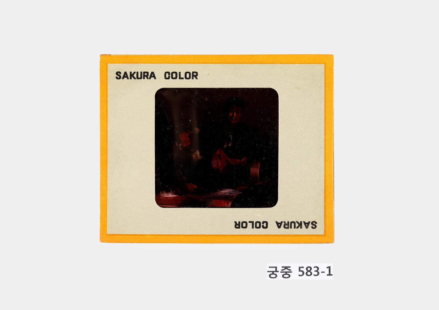 영친왕비 사진 필름