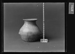 백자양이호 유리건판