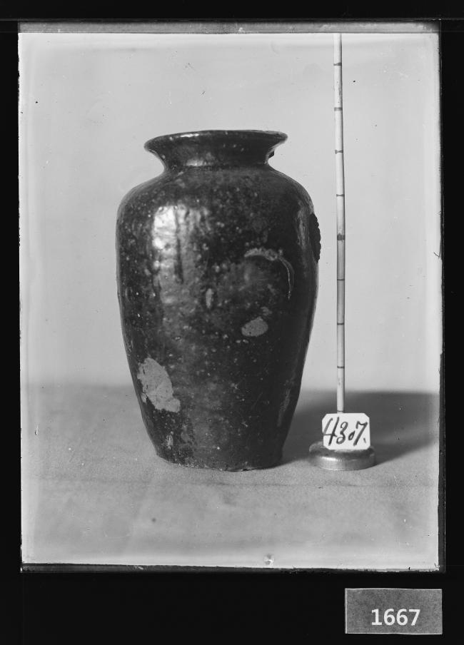 흑유호 유리건판