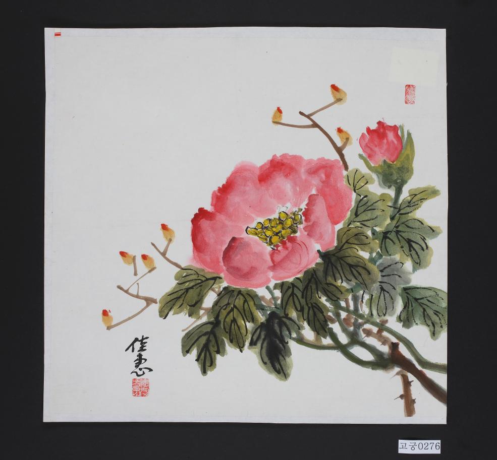 수묵채색모란그림