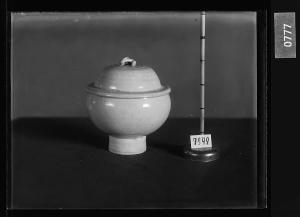 청백자유개완 유리건판