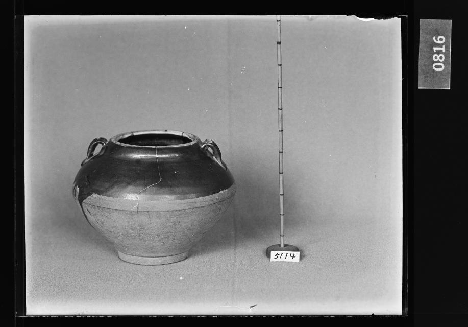 흑유양이호 유리건판