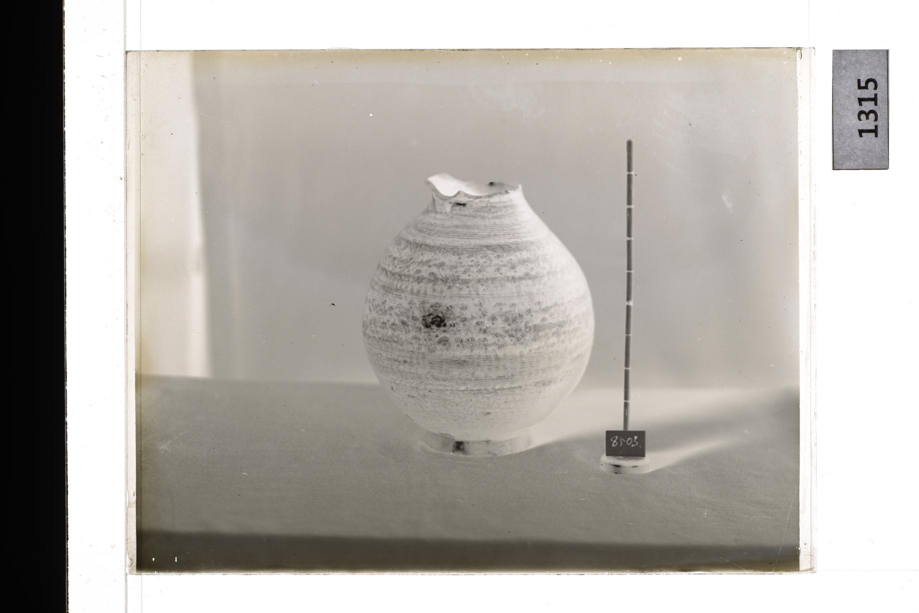 분청사기인화문병 유리건판