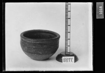 흑유호 유리건판